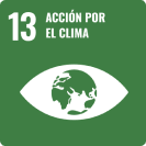 13. Acción por el clima